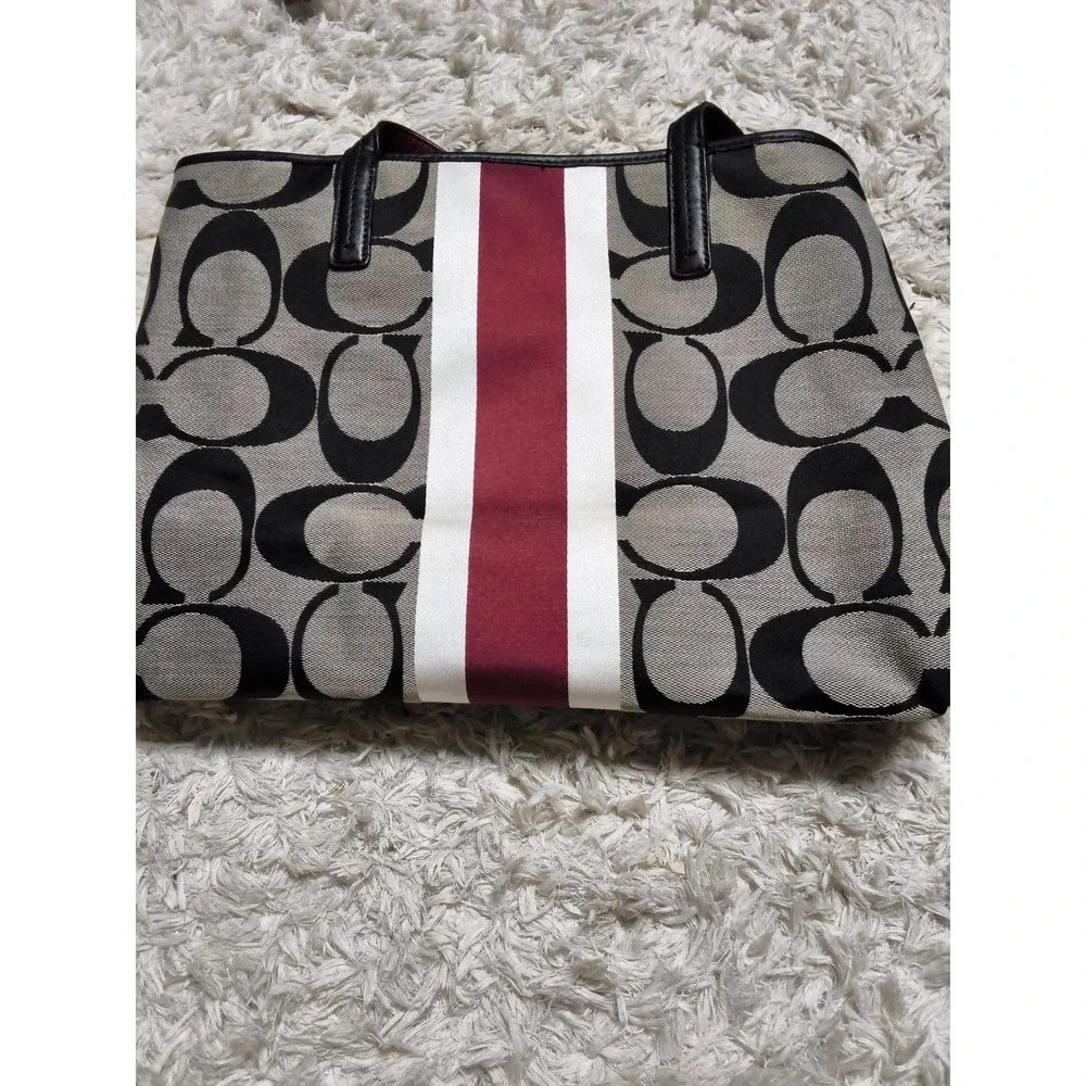 Coach signature stripe